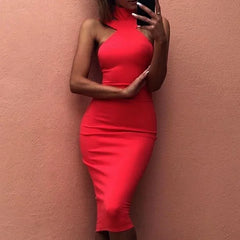 Fitted Neck Dress - Sexy Style Dress